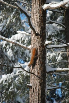 DSC_0078_2.jpg
