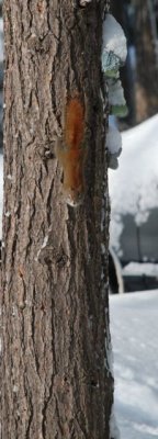 DSC_0085_2.jpg