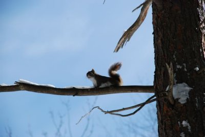 DSC_0471_3.jpg