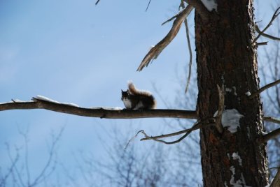 DSC_0480_3.jpg