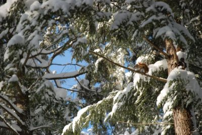 DSC_0051_2.jpg