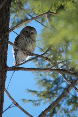 DSC_0728.jpg