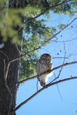DSC_0752.jpg