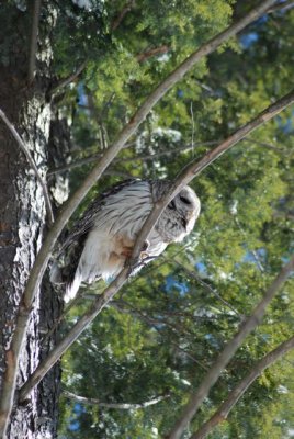 DSC_0765.jpg