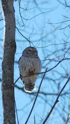 DSC_0781.jpg