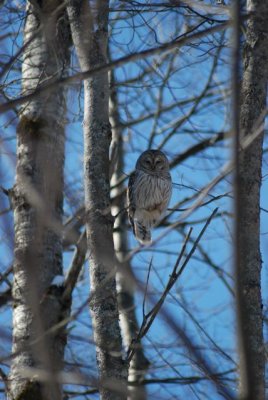 DSC_0801.jpg