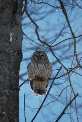 DSC_0849.jpg
