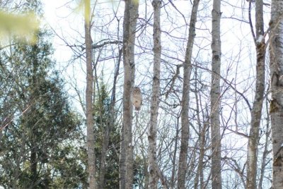 DSC_0856.jpg