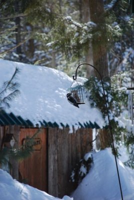 DSC_0878.jpg