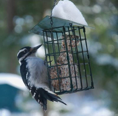 DSC_1030.jpg