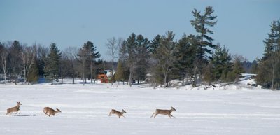 DSC_1155.jpg
