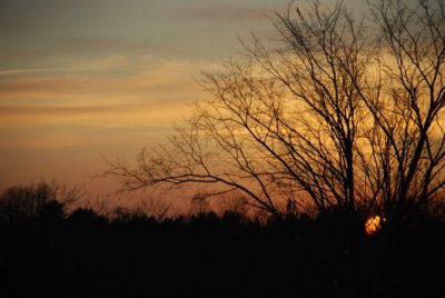 DSC_1328.jpg