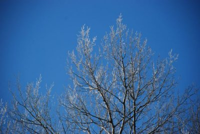 DSC_1417.jpg
