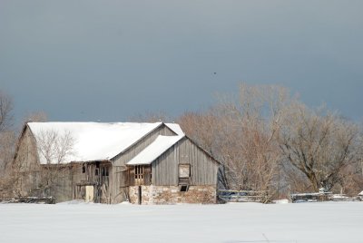 DSC_2279.jpg