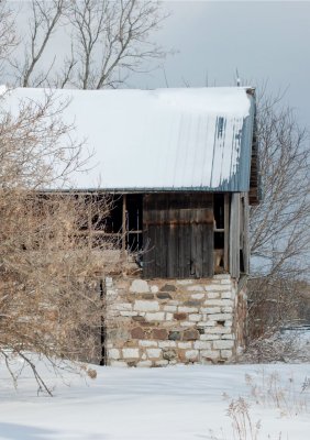 DSC_2313.jpg