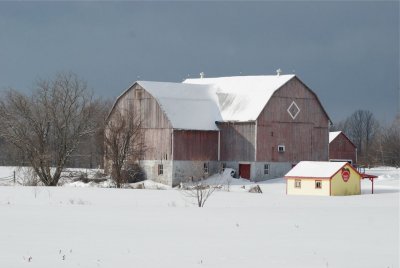 DSC_2343.jpg