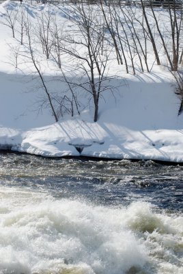 DSC_2401.jpg