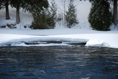 DSC_2561.jpg