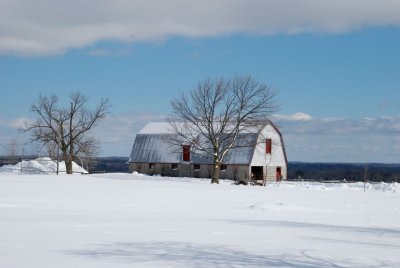 DSC_2573.jpg