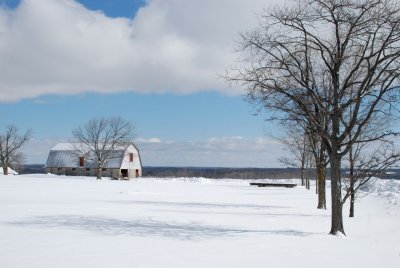 DSC_2580.jpg