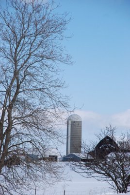 DSC_2614.jpg