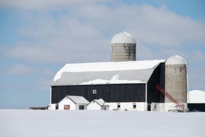 DSC_2619.jpg