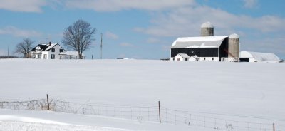 DSC_2624.jpg