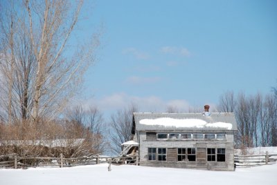 DSC_2633.jpg