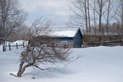 DSC_2638.jpg