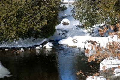 DSC_2716.jpg