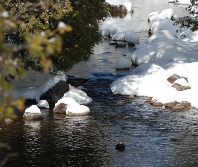 DSC_2733.jpg