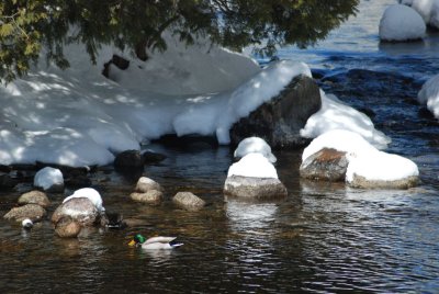 DSC_2738.jpg