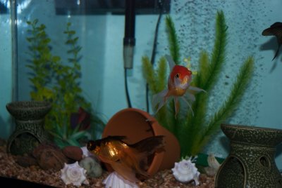 DSC_2851.jpg