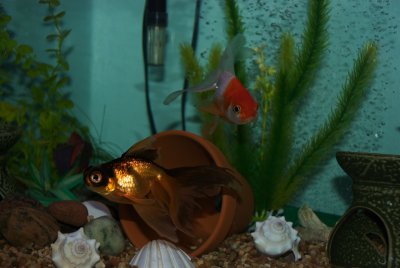 DSC_2856.jpg