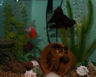 DSC_2861.jpg