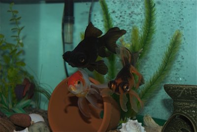 DSC_2864.jpg
