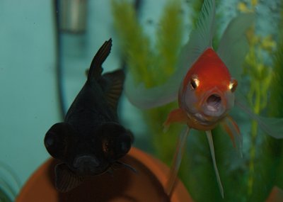 DSC_2869.jpg