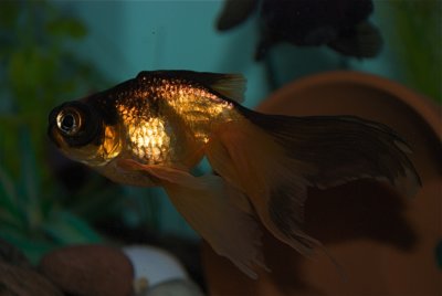 DSC_2870.jpg