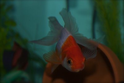 DSC_2872.jpg