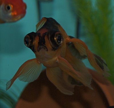 DSC_2876.jpg