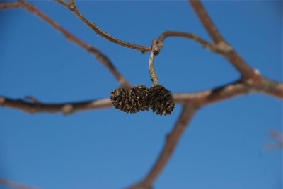 DSC_3157.jpg