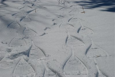 DSC_3158.jpg