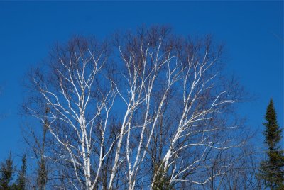 DSC_3172.jpg