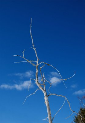 DSC_3180.jpg