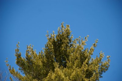 DSC_3196.jpg