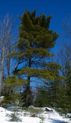 DSC_3201.jpg