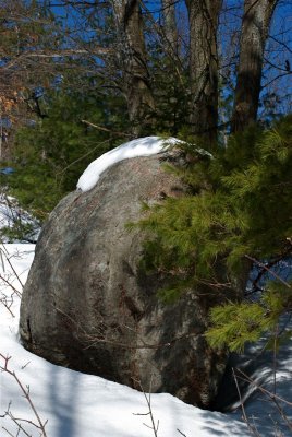 DSC_3205.jpg