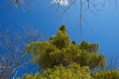 DSC_3206.jpg