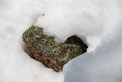 DSC_3211.jpg