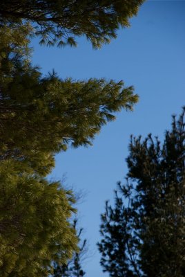 DSC_3226.jpg